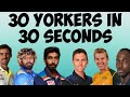 30 yorkers in 30 seconds  dennaaro cricket