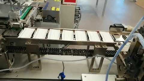 richpeace mask machine working in customer factory  (medical mask