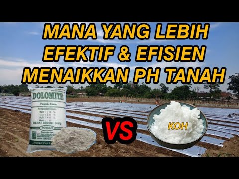 Video: Apa perbedaan antara pelemas tio dan hidroksida?