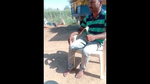 7972766017 Unilink afs animal feed supplement result caw asthma