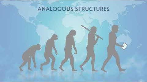EVIDENCES OF EVOLUTION - GRADE 10 QUARTER 3
