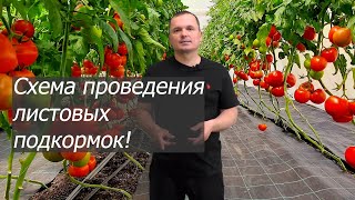 Схема листовых подкормок Плантафолом- от 