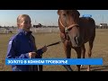 Полина Труфанова - чемпионка  Кубка Республики Хакасия в конном троеборье