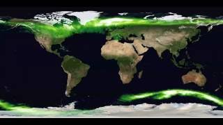 Aurora 360
360 VR movie of the aurora from IMAGE (North) and Polar (South). The aurora is seen in both hemispheres (the southern hemisphere is sometimes cut off by the spacecraft orbit). Based on a research paper by Longley, Reiff, Ostgaard, and Reistad. Aurora 360