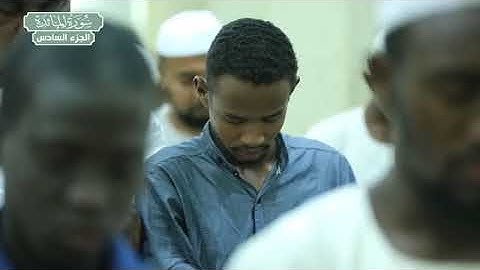 سورة المائدة .. الشيخ : الزين محمد أحمد