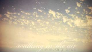 Mimicking birds - Walking in the air chords