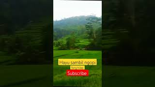 pesawahan indah #music #pesawahan #tranding #remix