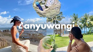 travel vlog | exploring the east of java, national park, deer island, sambal diet, wedding bells 🤍