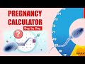 Pregnancy calculator   calendar week by week  pregnancy calculator by last period