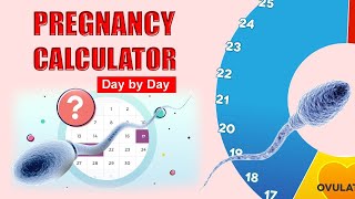 Pregnancy Calculator –  Calendar Week by Week | Pregnancy Calculator by Last Period screenshot 5