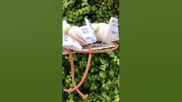 Brinquedo afp Kit Ratinhos com Catnip para Gatos - Classic Comfort