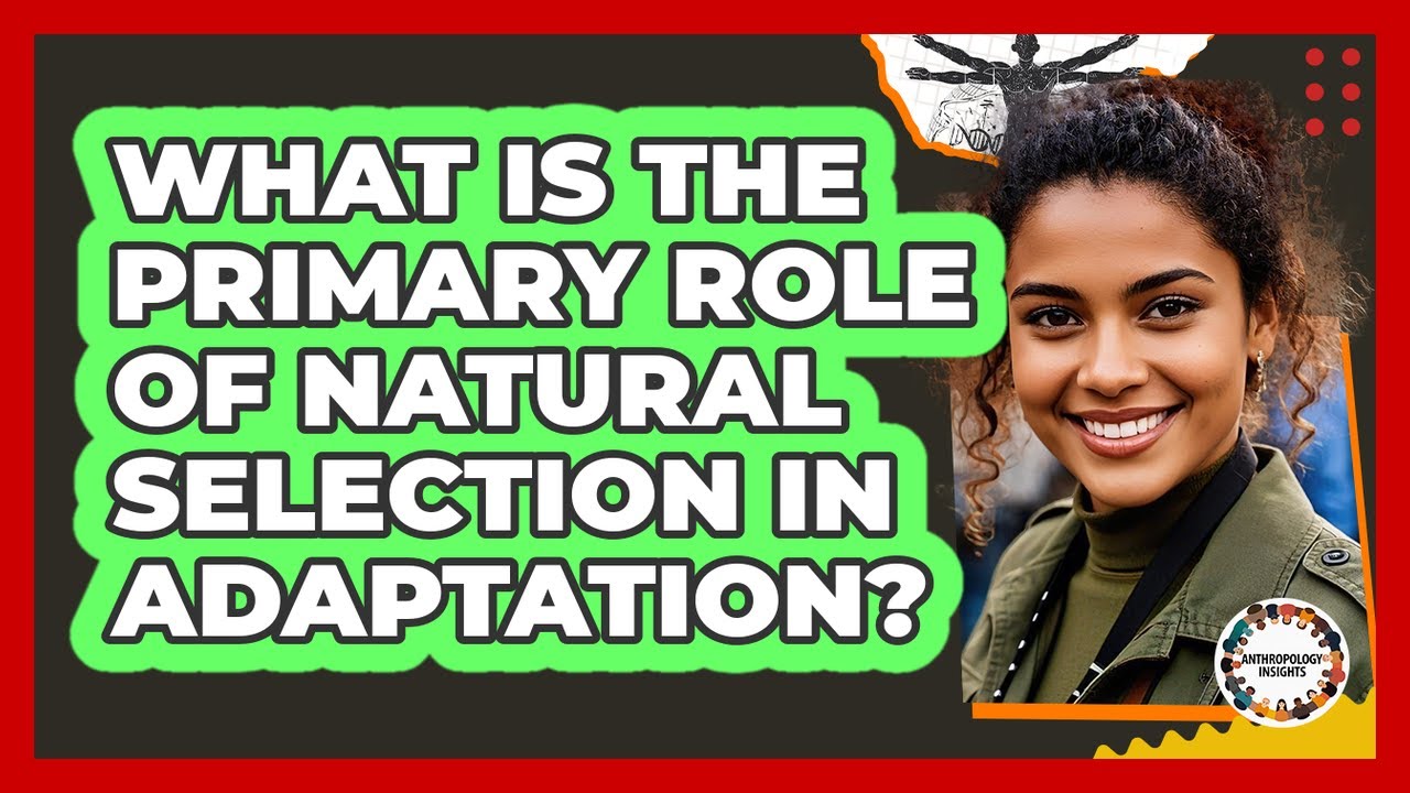 What Is the Primary Role of Natural Selection in Adaptation? - YouTube