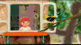 Special Agent Oso Birds