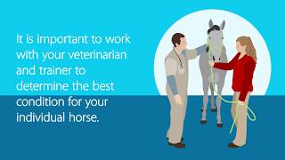 How to Evaluate Your Horse’s Body Condition