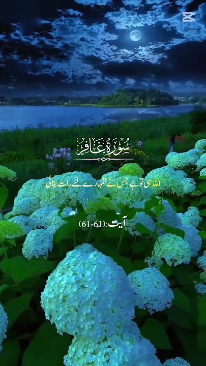# Surah ghafir