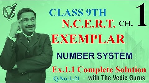 Class 9th NCERT EXEMPLAR  Ex.1.1 (Complete) Day 1