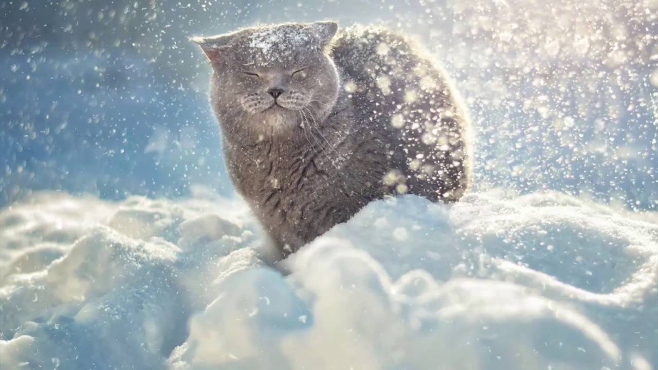 "Emotional Cinematic" (1 min version) - Royalty free stock music