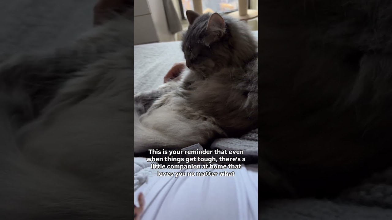 Send this to someone who might need this reminder today 💌