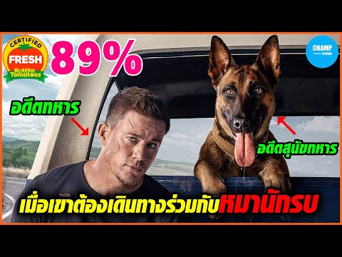 วีดีโอ: UPDATE: Malinois กล้าหาญได้บันทึกหลายร้อย Rhinos จากความตาย