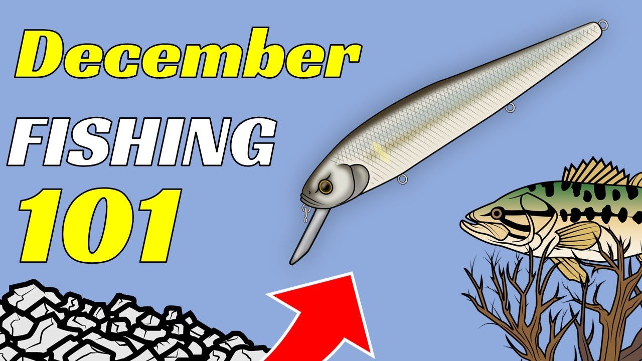 The Best Baits To Use For Fishing In December YouTube
