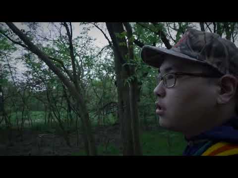 C X HOYA Edibles Official MV