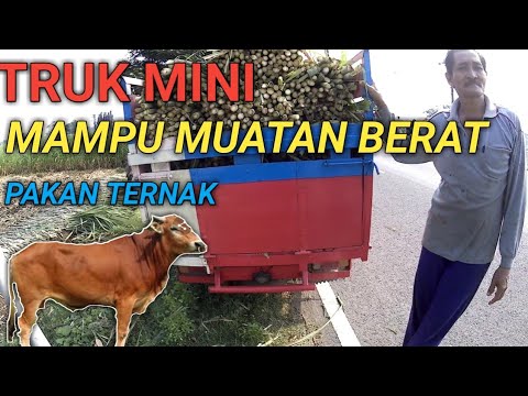 Cari mesin cuci mobil & motor murah ! ! !, , , nih teman-teman saya rekomendasikan Jet Cleaner High . 