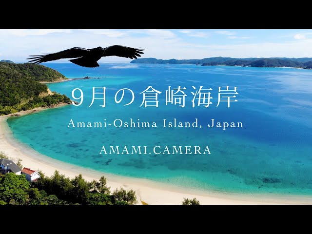 空から観るふるさと　奄美群島航空写真集 空から観るふるさと 奄美群島航空写真集 空から観るふるさと