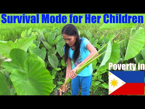 Poor Beautiful Filipina is Desperate for Her Children's Food. Real Poverty in Philippines. USA NEWS