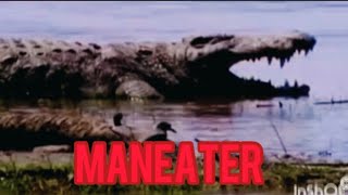 Serial Killer Crocodile who was never caught