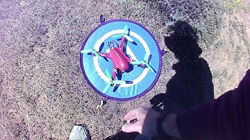 Bugs 3 Flight - Failed but Found