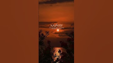 القارئ | مالك الزامل