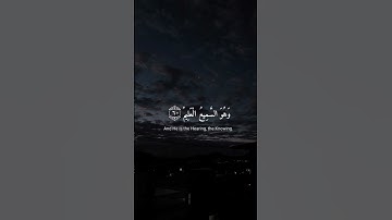 تلاوة مريحة القارئ عبدالرحمن المسعد #عبدالرحمن_مسعد #القرآن_الكريم #عبدالرحمن_مسعد #quran