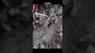 Outrunning The Undead A Mothers Desperate Escape The Walking Dead Season 11 Scene Breakdown