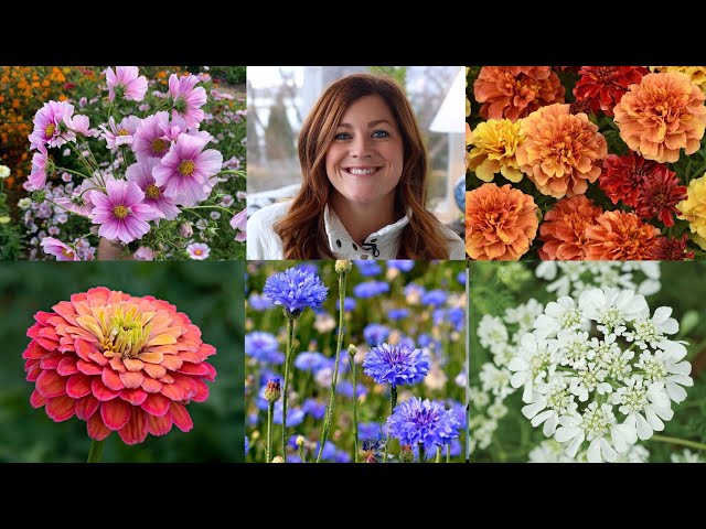 10 of the Easiest Annual Flowers to Start From Seed! 🌸🌻🌿 // Garden Answer class=
