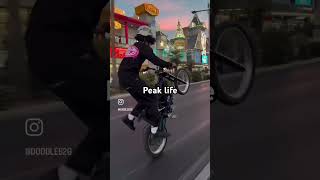 #surron #surronster #fypシ #fypシ゚viral #viral #foryou #bikelife #summer #2016