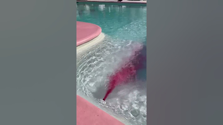Pink pool party 😝 #thep00lguy