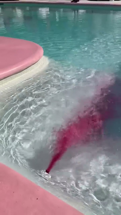 Pink pool party 😝 #thep00lguy