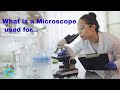What is a Microscope and its Uses