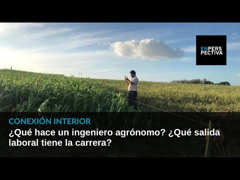 ¿Cuál Es La Perspectiva Laboral Para Los Ingenieros Eléctricos?