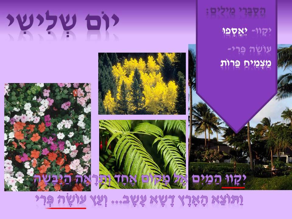 Four Seasons Rv >> בראשית- בריאת העולם - YouTube Four Seasons Rv >> בראשית- בריאת העולם - YouTube