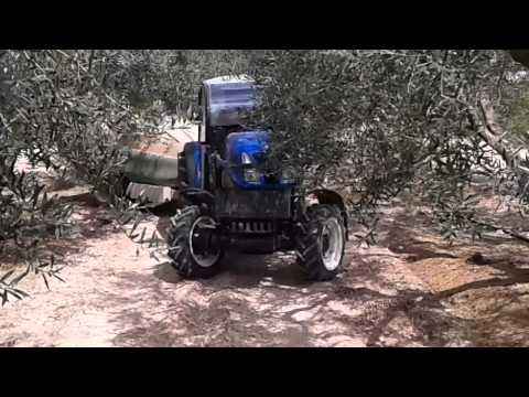 New Holland δενδροκομικό