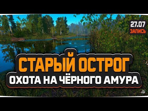 Видео: Охота на Чёрного Амура, озеро Старый Острог — Русская Рыбалка 4