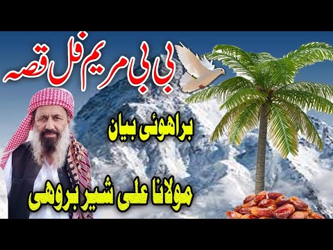 Molana Ali Sher Brohi New Bayan Bibi Mariam Full Bayan Hazrat Essa Ale Islam Brahvi Bayan