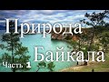 Природа Байкала. Россия. Часть 1 / The nature of Baikal. Russia. Part 1