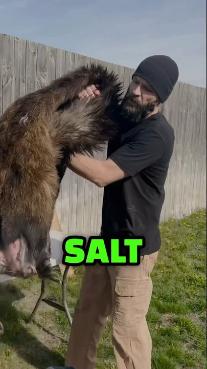 3 Ways to FLESH A HIDE #Shorts