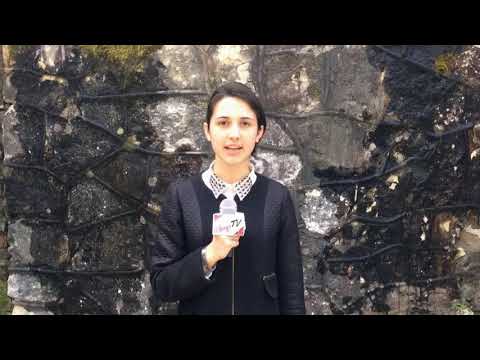 \"ციფრული სკოლა\" - სსიპ თეოფანე დავითაიას სახელობის ქალაქ ფოთის N1 საჯარო სკოლა