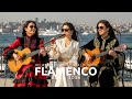 Quiet Night Meets Warm Embrace Latin Romance Spanish Flamenco Fusion 
