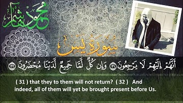 الشيخ محمود هاشم .. سورة يس