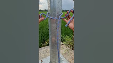 Amazing Loop Knot Tutorial #knots #ropes #knottutorial