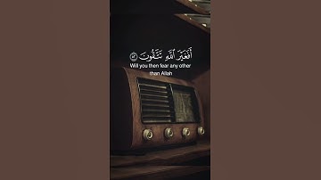 سورة النحل جزء من آيه{ ٥٢ } #المصحف #quran #اكسبلور #حالات_واتس #islamicfestival #لايك #islamicholid